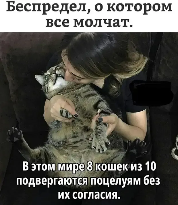 Насилие над котом, целуют без их согласия #1
