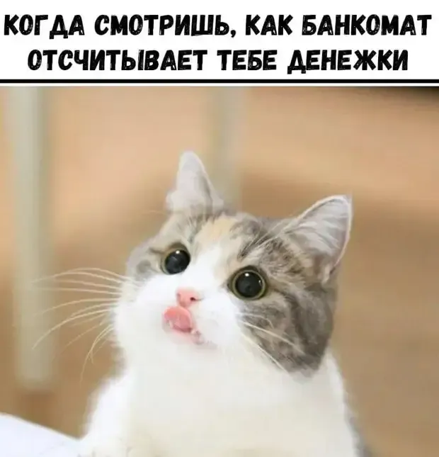 Хорошее сравнение . #2