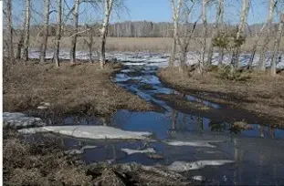 Весна #1