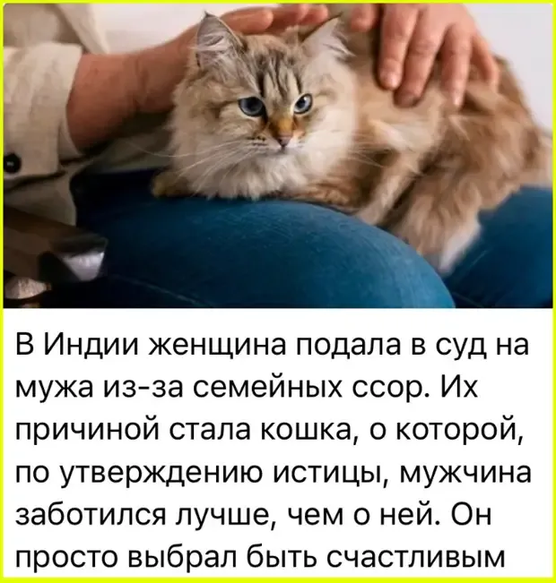 Счастье и любовь! #1