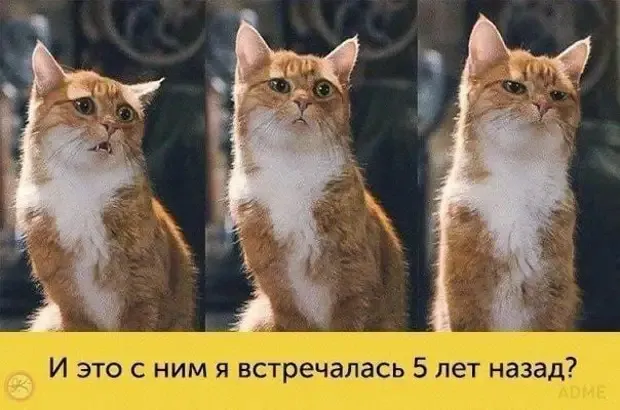 Запоздалое разочарование! #1