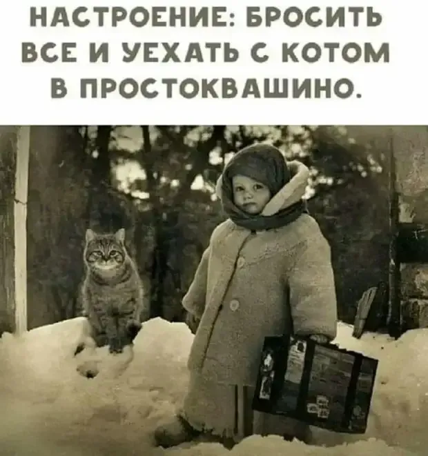 Лучший друг не оставит в тоске и одиночестве #1