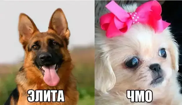 Каждый по своему красив. #2