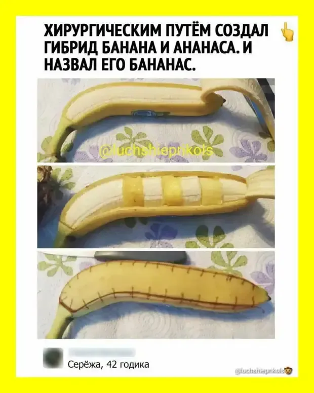БАНАНАС, искусственный гибрид. #2