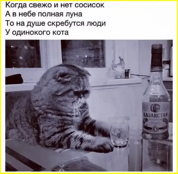 Одиночество кота #1