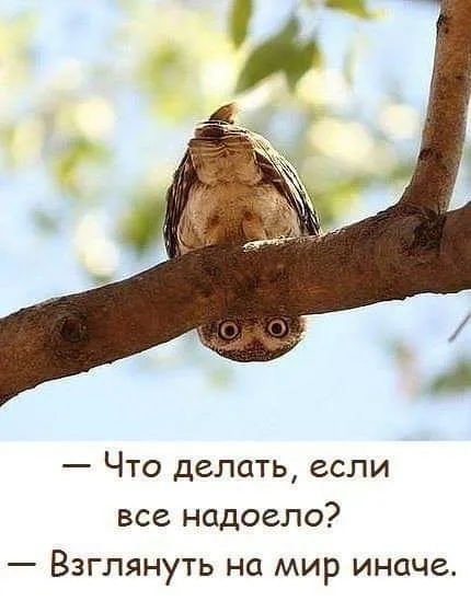 Взгляд на мир с другой стороны #1