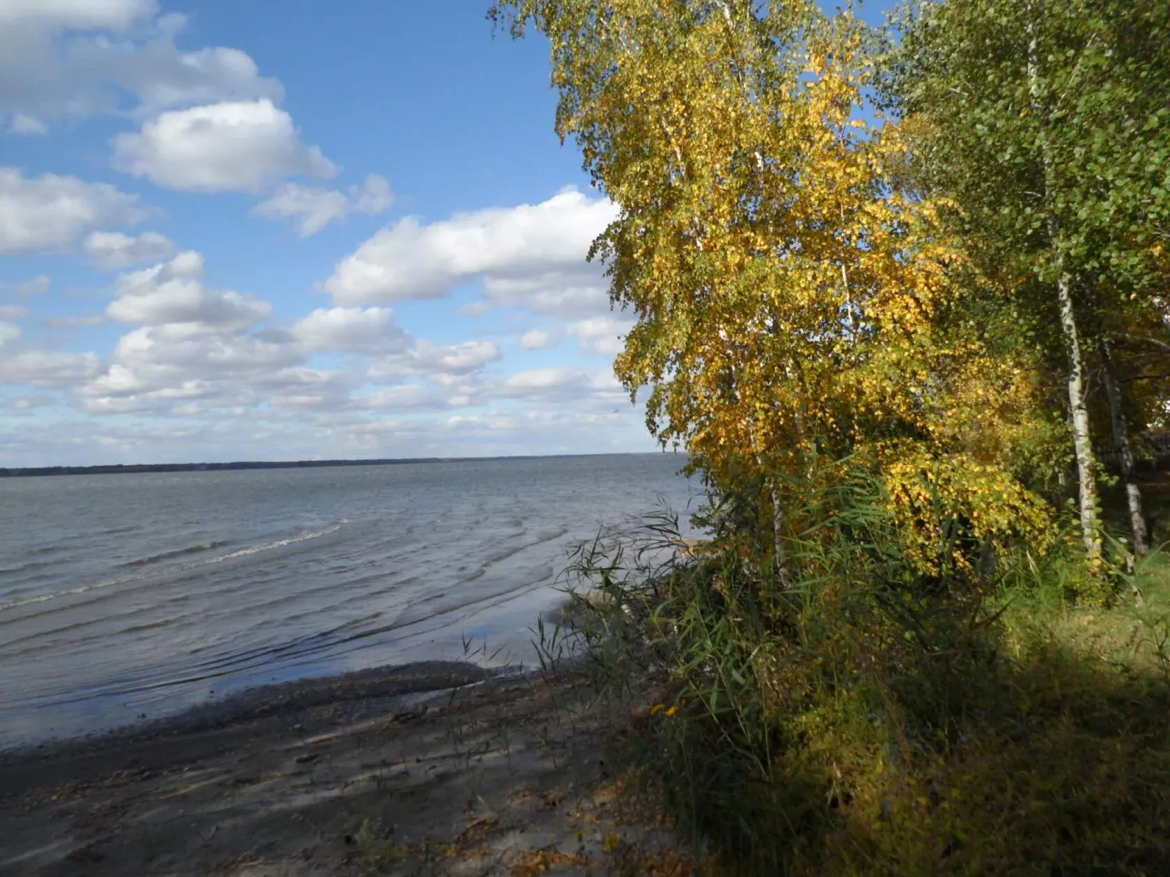 Осень .  #2