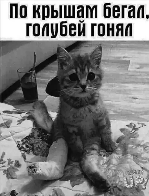 Умаялся #1