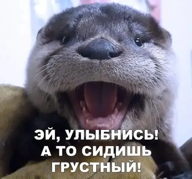 Для поднятия настроения! #1