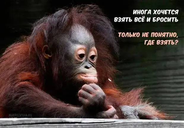 Философский вопрос #2