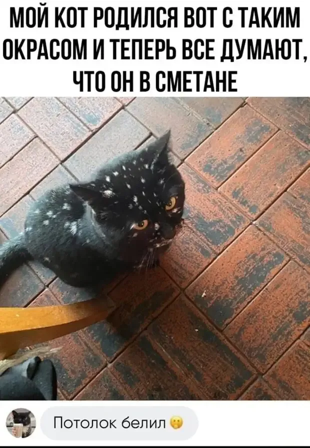 Кличка «маляр»? #2