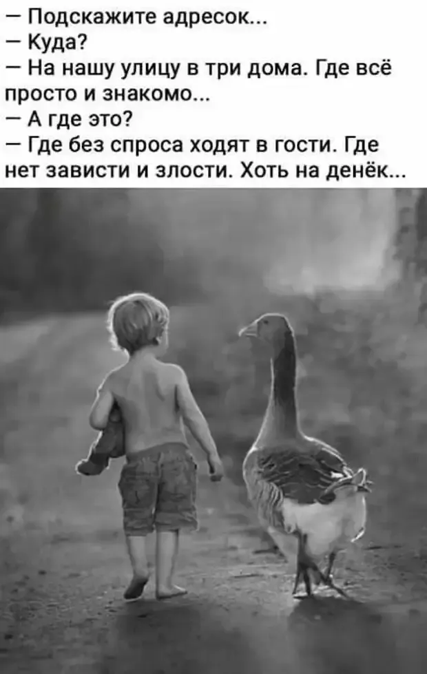 Друзья идут туда, где им всегда хорошо и спокойно! #1