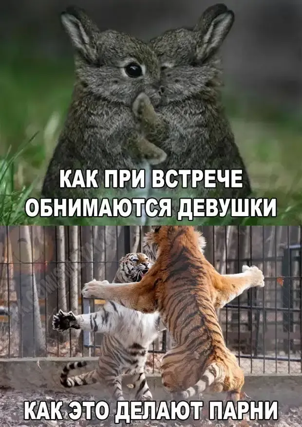Отличие женщин от мужчин в выражении эмоций #1