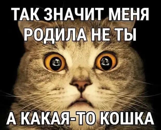 Тайна рождения. #2