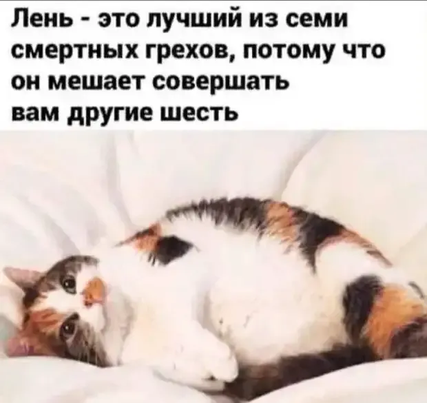 Философия жизни! #2
