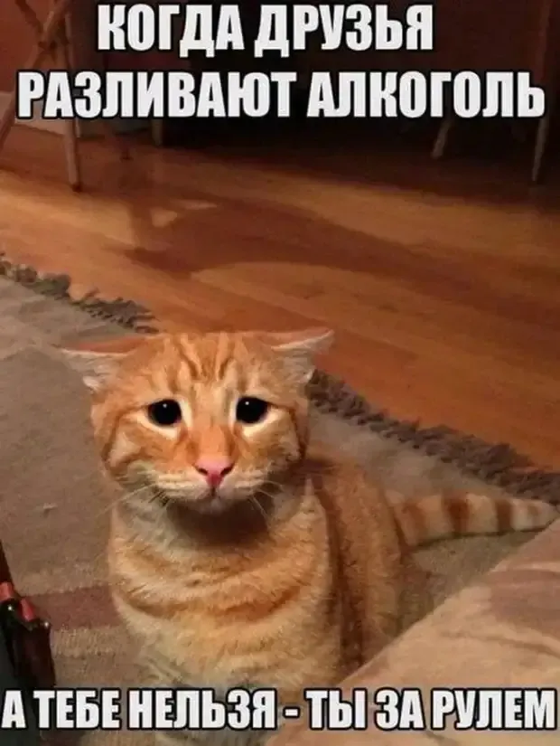 Грустно, печально, но ладно! #1