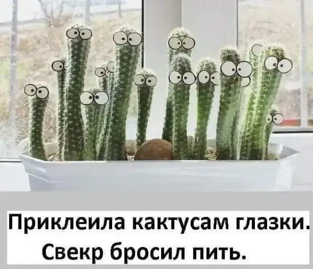 Лучшее лечение от алкаголизма #2