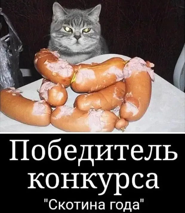 Не съем так надкушу! #2
