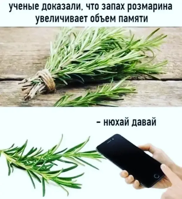Как актуальны и нынче басни Крылова!!! #2
