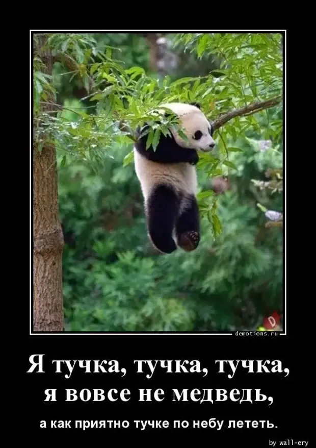 Самые милые Мишки! #2