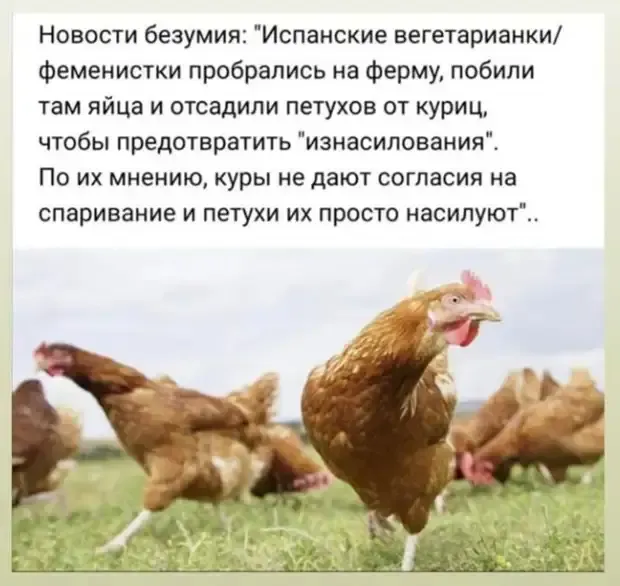 Этот безумный, безумный мир! #2