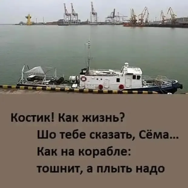 Философия жизни с юмором #1