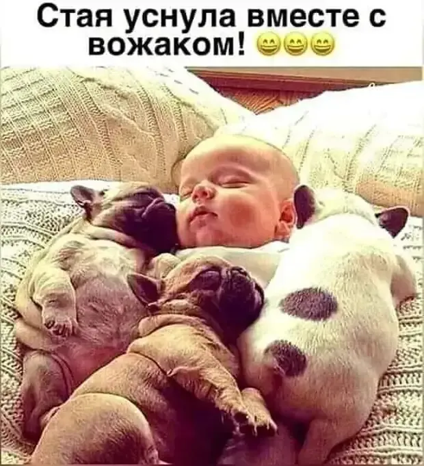 Милое фото семейства #2