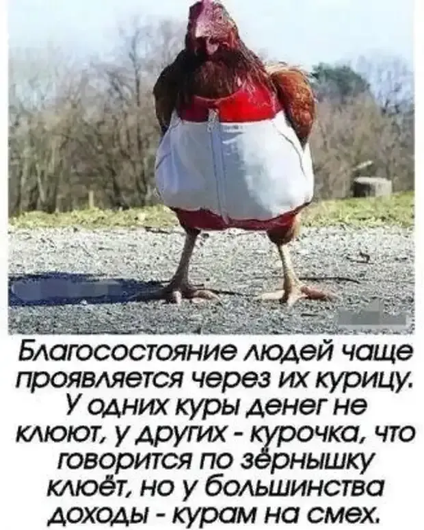Немного юмора о зависимости доходов от домашней птицы #1
