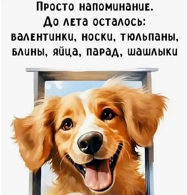 Измерение времени до весны с помощью подарков и событий #2