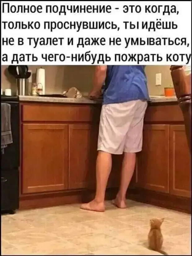 Полное подчинение! #2