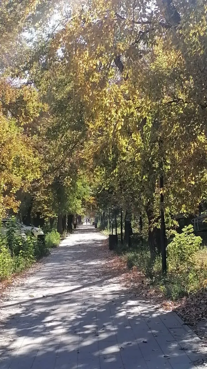 Осенний парк. #1