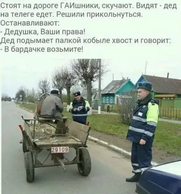 Находчивость и юмор деда на лошади! #2