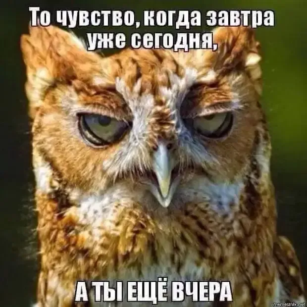Так чувчтвуешь себя иногда по утрам! #2