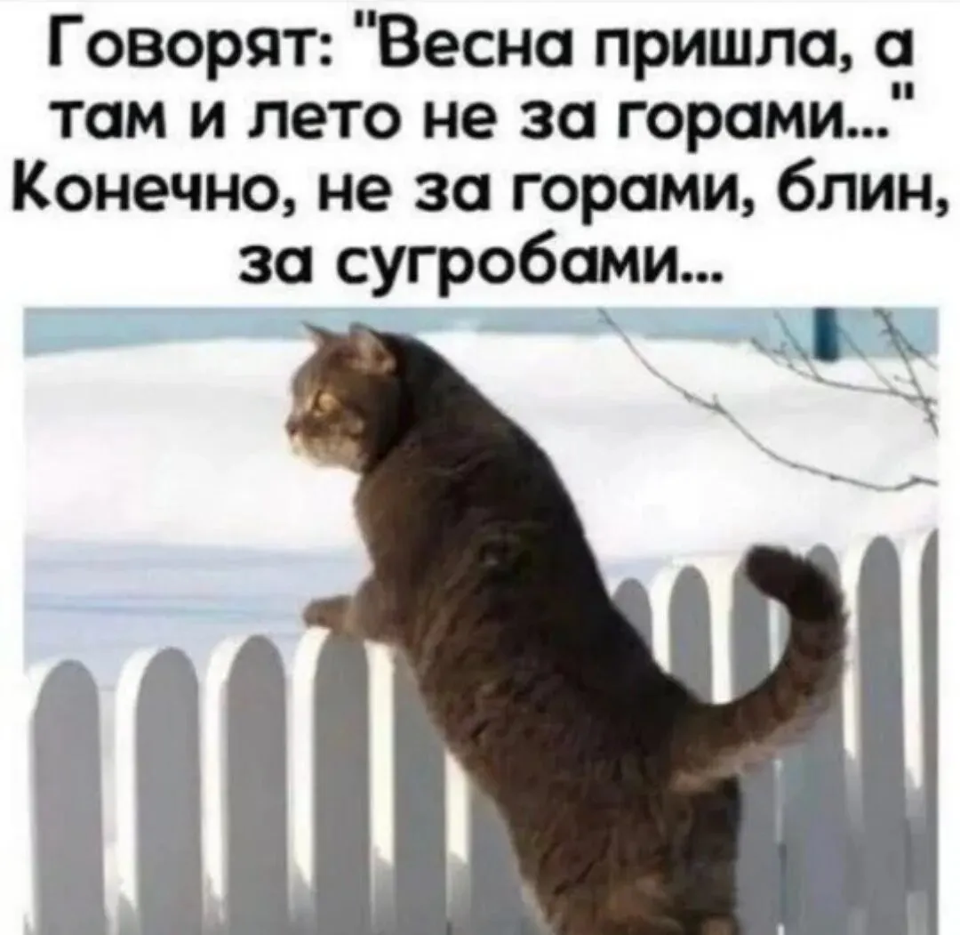 У кого-то лето не за горами, а у нас еще и весна за сугробами #2