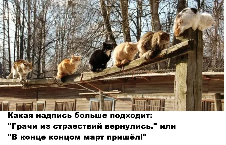 Наконец-то март пришел! #2
