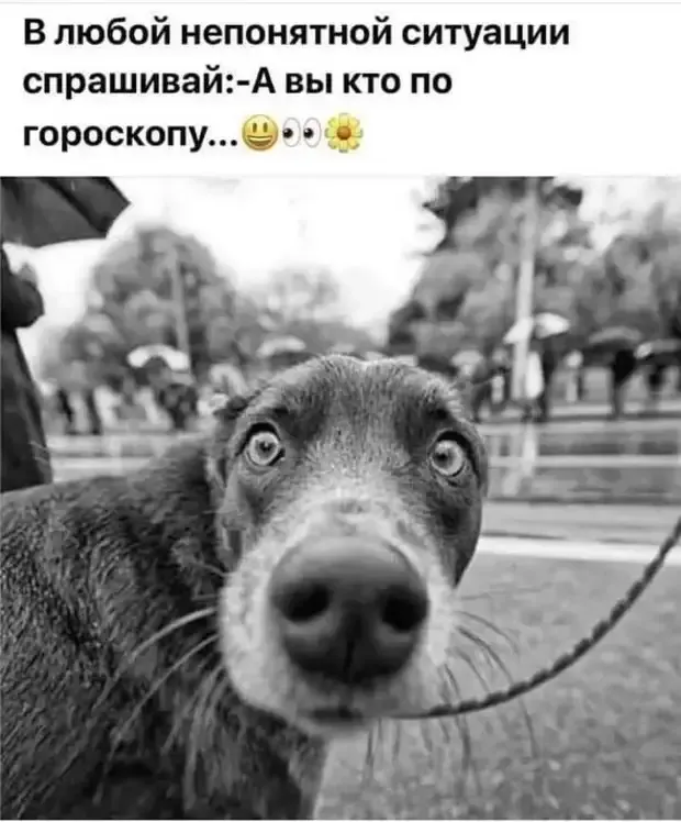 Как себя вести с человеком определяйся сначала из того, кто он по гороскопу #2