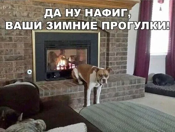 Зимний вечер у камина #2