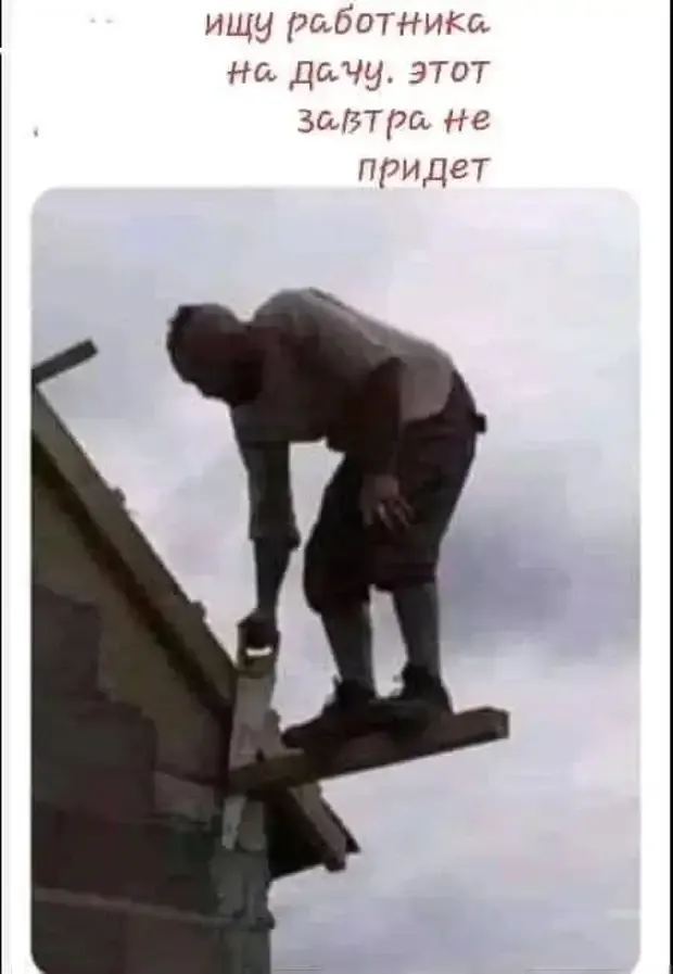Не пили сук, на котором сидишь. #2
