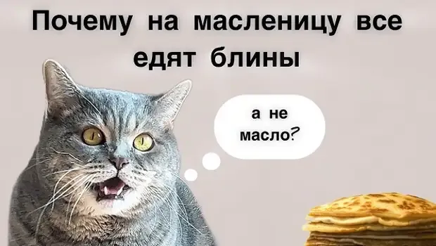 Не все коту масленица  #1