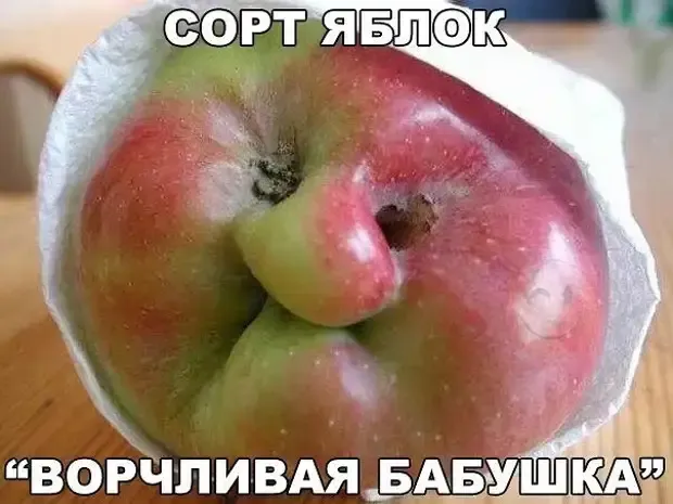 Чудны твои дела  матушка природа! #1