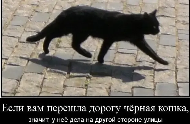 Народные приметы, их смысл и истоки #5