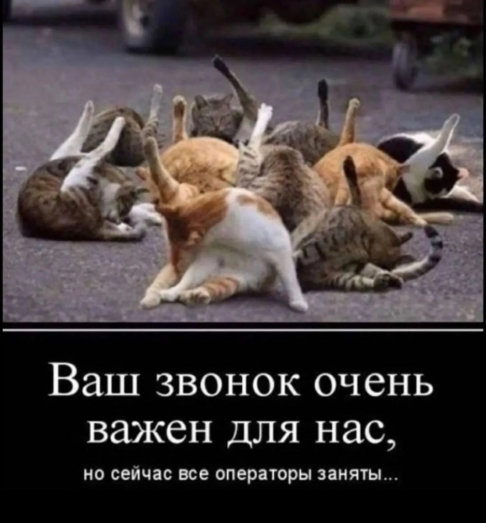 Массовое наведение чистоты  #2