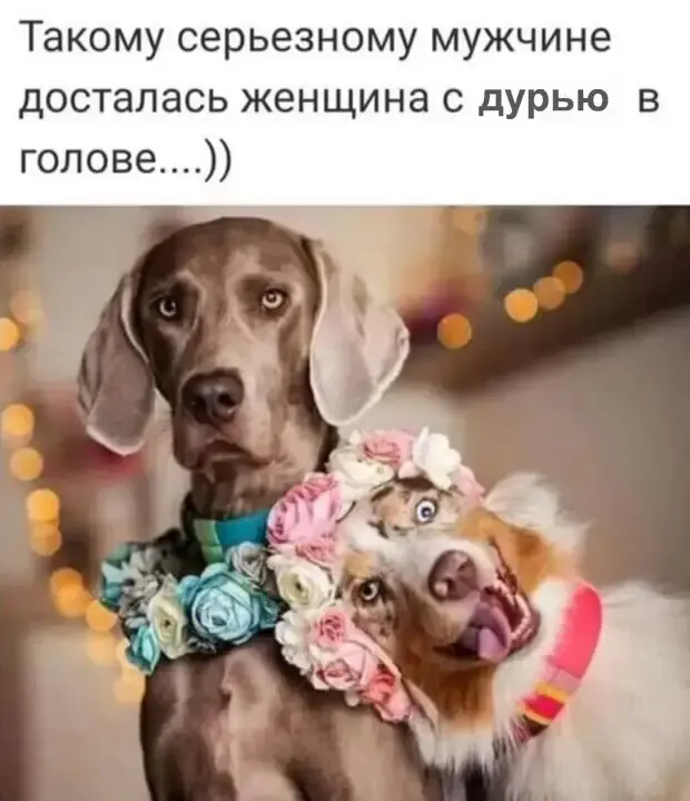 Превратности судьбы! #2