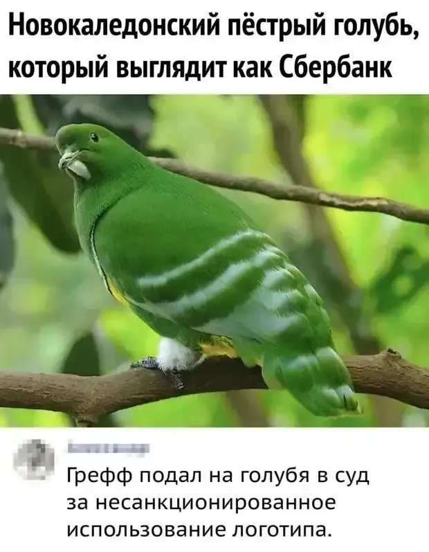 Откуда Сбербанк заимствовал свою расцветку и логотип #1