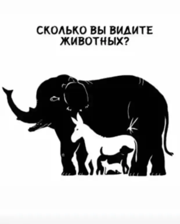 Еще одна головоломка. #2