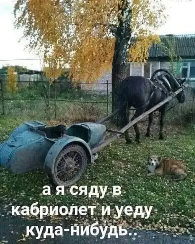 Фото по мотивам известной песни. #1