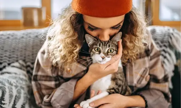 Что на самом деле чувствует кошка, когда ее целует человек #1