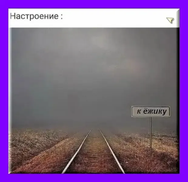 Дорога к ежику в тумане #1