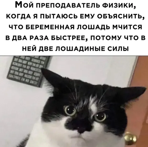 Взгляд ученика на лошадинные силы и реакция учителя физики на выводы ученика #1