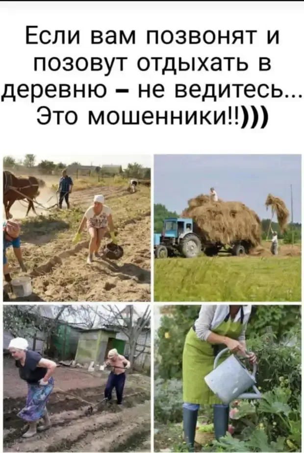 Мошенники нашли новый способ заманить вас в деревенский туризм! #1